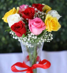 Mixed-Color Roses