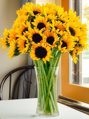 fresh sunflower bouquet in vase