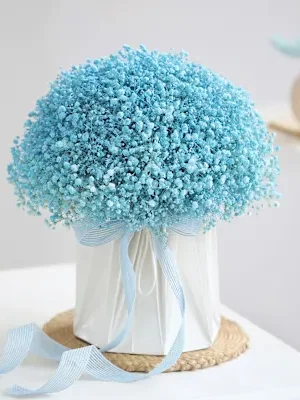 blue gypso