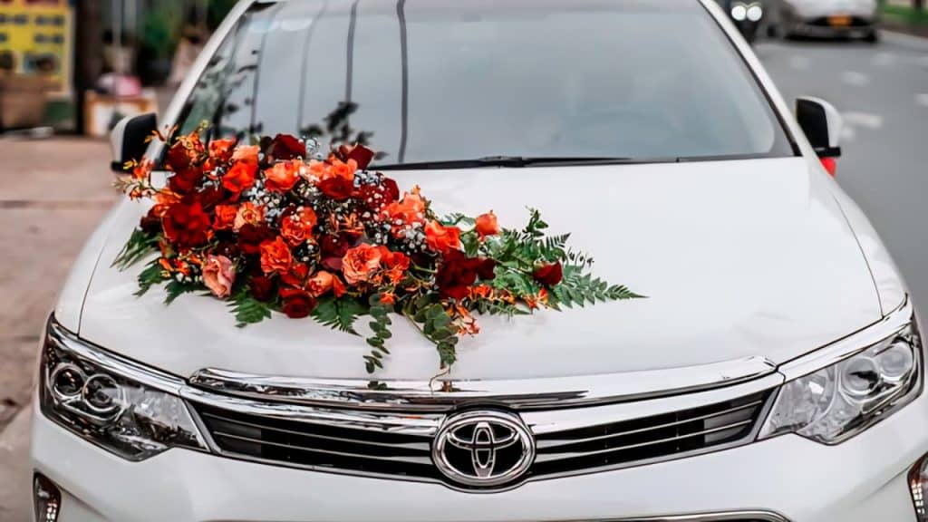 red and orange flowers with gypso