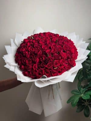 100 red roses