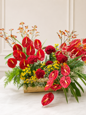 Luxury red anthurium floral arrangement with red carnations, yellow button flowers, baby's breath, and premium foliage in a wooden box for flower delivery in Mumbai.
