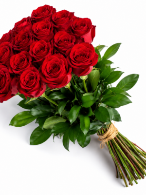 beautiful red rose