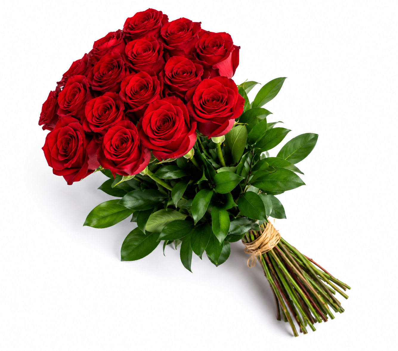 beautiful red rose
