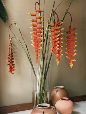 Fresh Red Orange Heliconia Tropical Flowers in Glass Vase | FlowerFeathers Mumbai